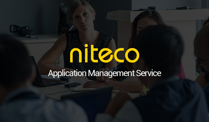 Niteco team collaborating in a meeting for Application Management Service strategy